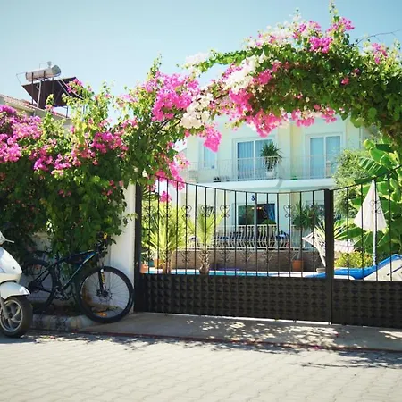 Two Seas Bougainvillaea Villa Marmaris